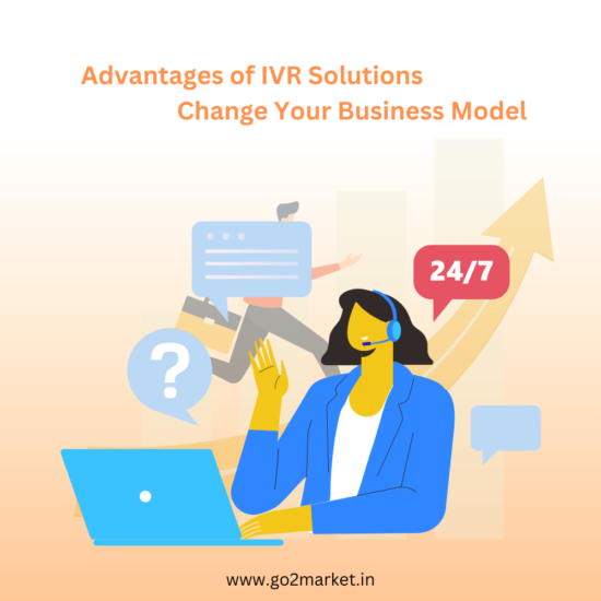 IVR Solutions